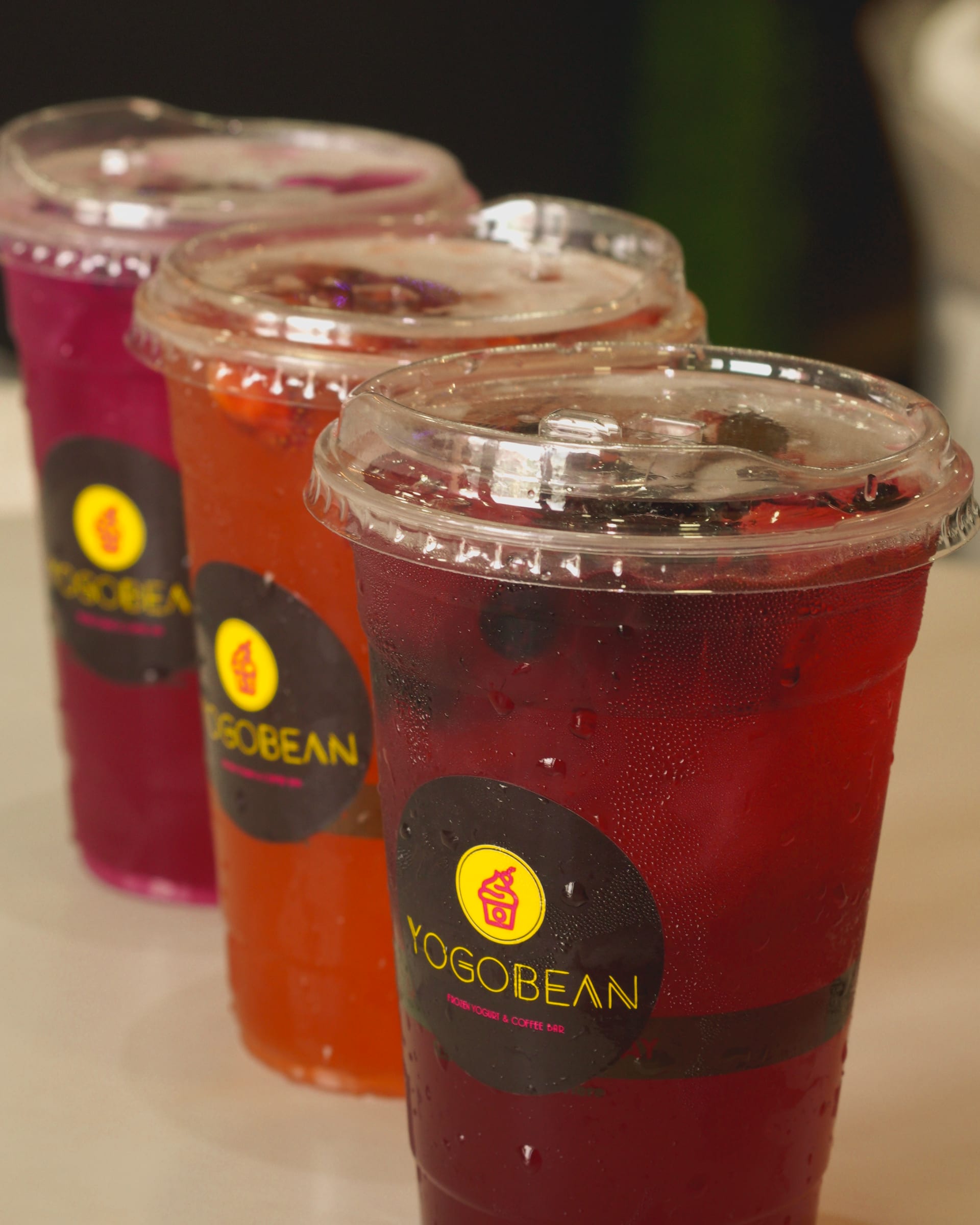 Yogobean — gallery 9
